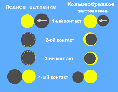 Контакты